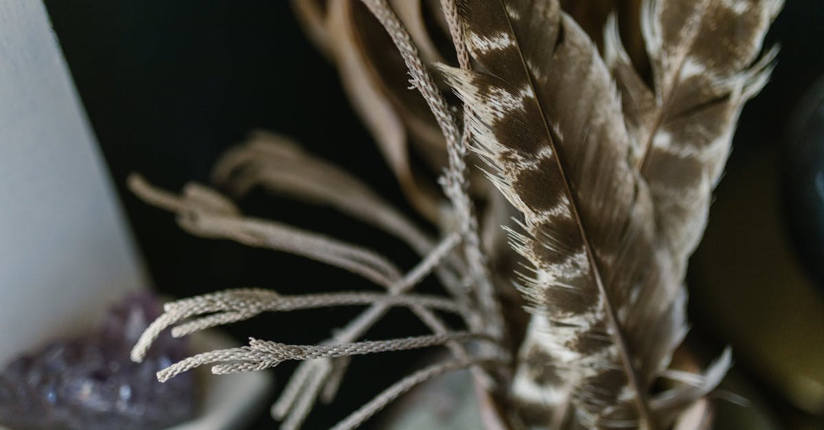 復縁の可能性を占うためにタロットカードを見つめる女性のイメージ