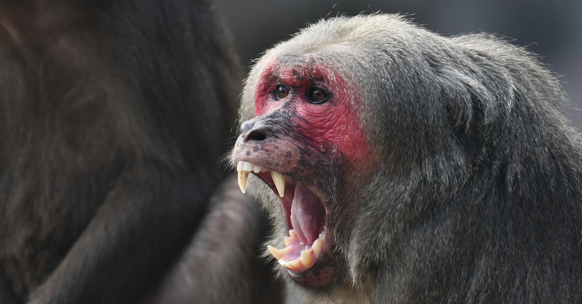 Ulike Air10と他社の家庭用脱毛器を比較している様子。機能・価格・効果の違いを表す図解風イメージ。