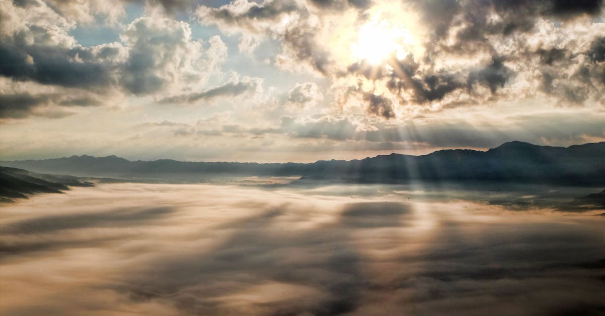 朝日を浴びながら笑顔で前を向く女性。未来への希望と美しさの象徴的な瞬間を切り取ったイメージ。