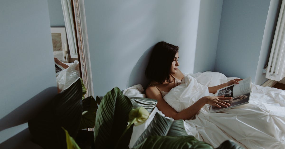 洗える布団Araemaxを選ぶ際には口コミを参考にすることが重要