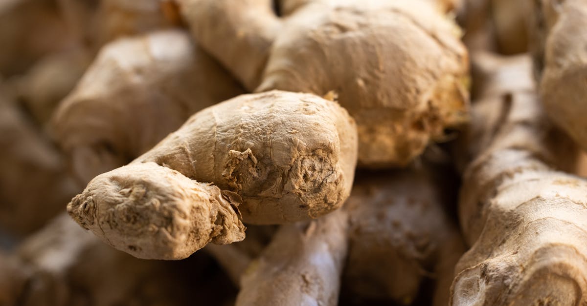 クラチャイダム(黒ウコン)の根とパウダーのイメージ