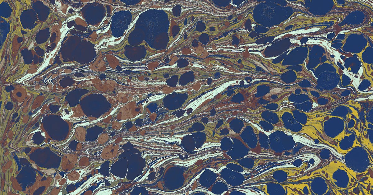 トリピュアのトリプルサポート構造を示す図。燃焼・代謝・腸内環境の3軸アプローチ。