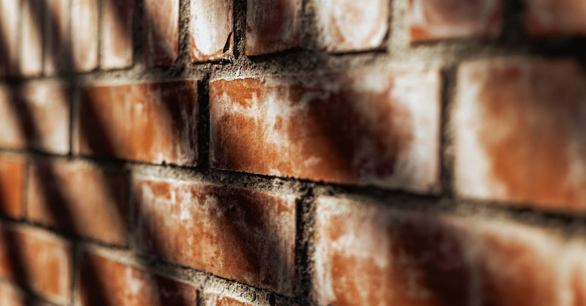 手の甲にのせた化粧水のテクスチャーを自然光の中で撮影。なめらかで軽やかな質感を伝えるビジュアル。