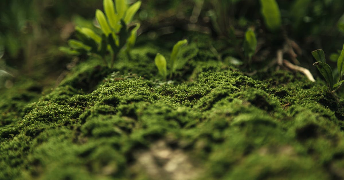 1本で5つの効果を持つオールインワンファンデーションの特徴説明