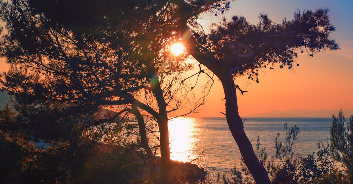 Araemaxの敷布団は分割式で洗いやすく家庭でも手軽に清潔を保てる