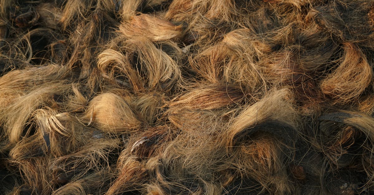 Araemaxの洗いやすさの秘密は中綿素材にあり、清潔な睡眠環境を保つ