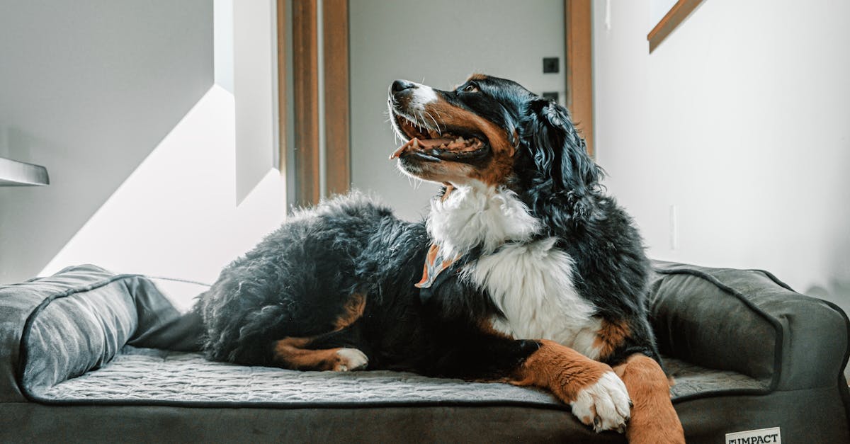 長く使える洗える布団Araemaxは耐久性に優れている