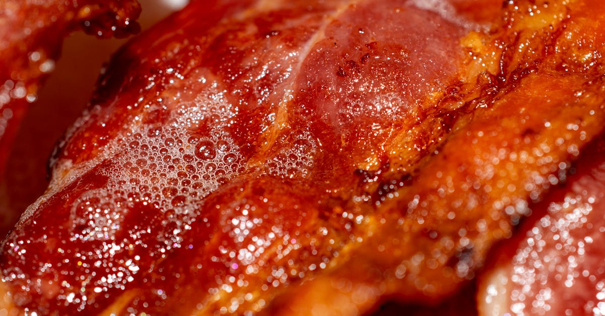 L-カルニチンが脂肪をエネルギーに変換する過程を示す図。トリピュアの燃焼サポート機能の基盤。