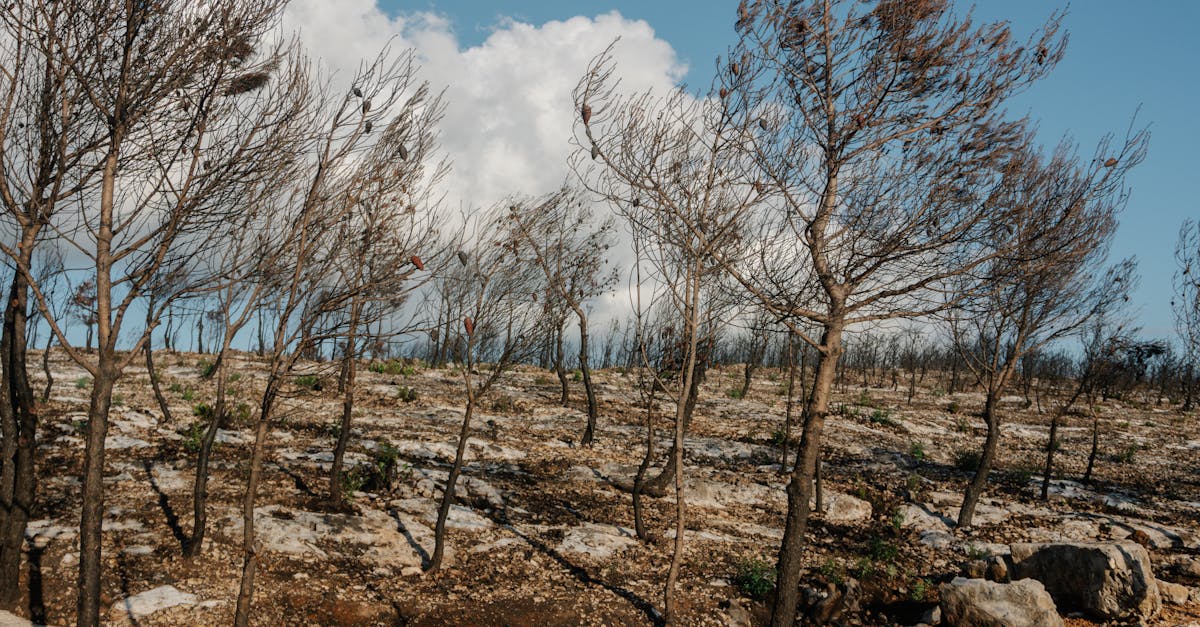 スマートリカバリーリングの特徴や機能が分かる説明図や製品イメージ