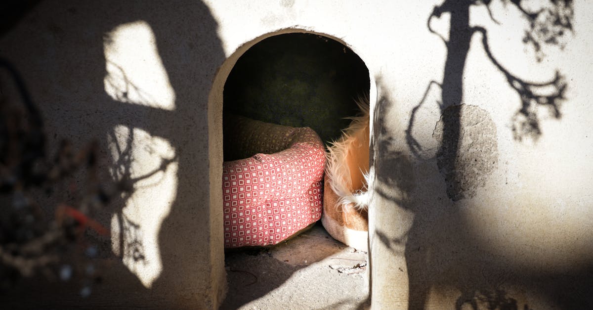 医療脱毛の明朗会計とオプション不要の料金体系