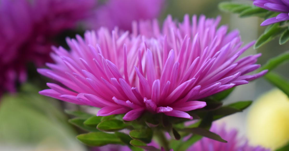 AGA治療はすぐに効果が出るものではなく継続が重要