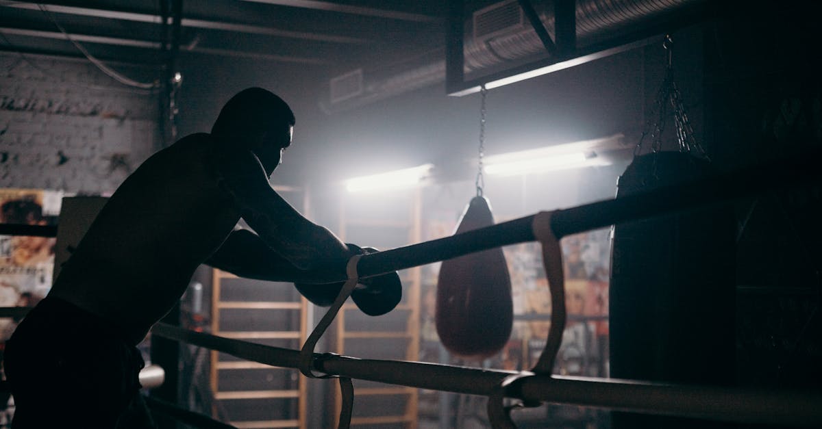 スマートリングで測定可能な睡眠、ストレス、活動量、回復の4項目が視覚化されているイメージ