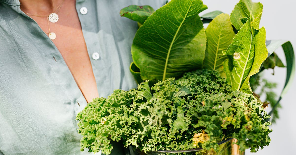 持続的に健康効果を感じる人々のライフスタイルを表すイメージ