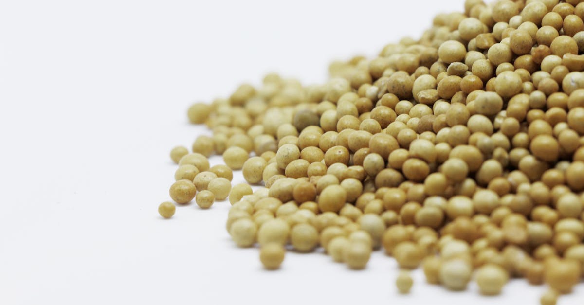 バイオペリンが栄養成分の吸収率を高めるメカニズムを図示したイメージ画像