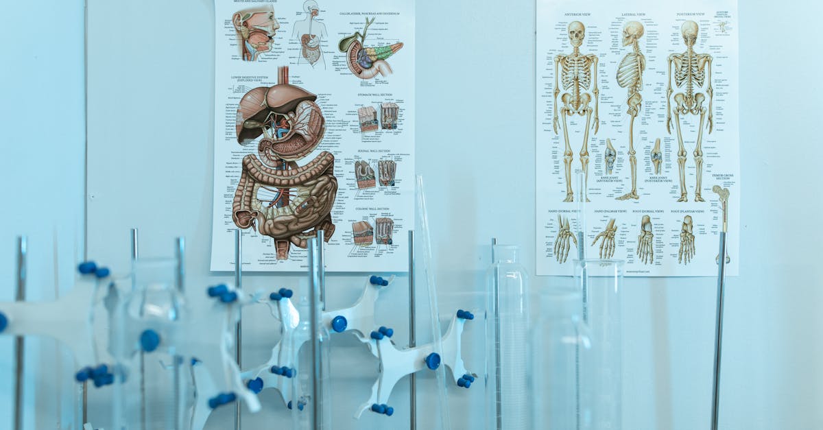 難消化性デキストリンが糖と脂質の吸収を抑えるメカニズムを示す図。血糖値上昇を穏やかにする作用。