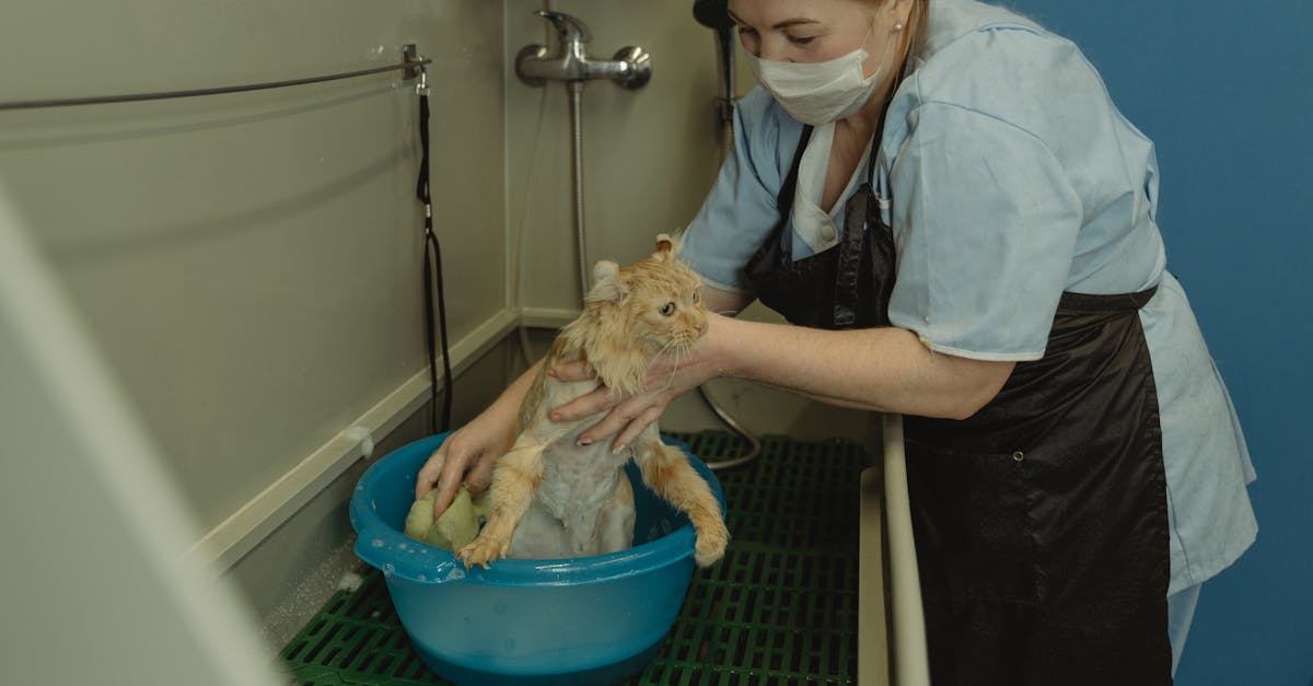 フレイアクリニックをおすすめできる人の特徴やクリニック選びで後悔しないためのチェックポイントを説明する図