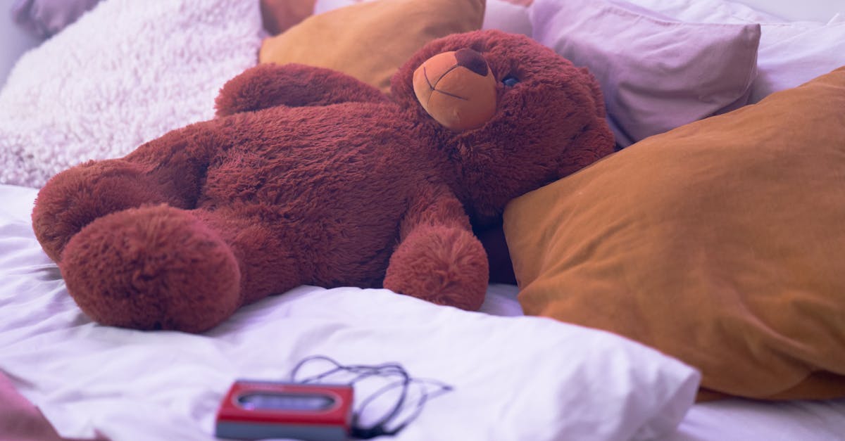 用途や季節、生活環境に合わせたAraemaxの布団選びのコツ