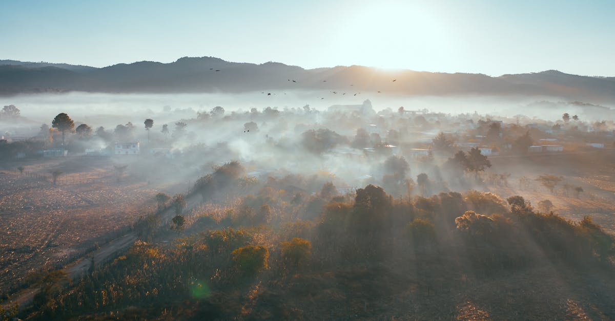 BLAZAR-αをAmazonや楽天で購入した場合の価格と公式サイトとの違いを比較した図表イメージ