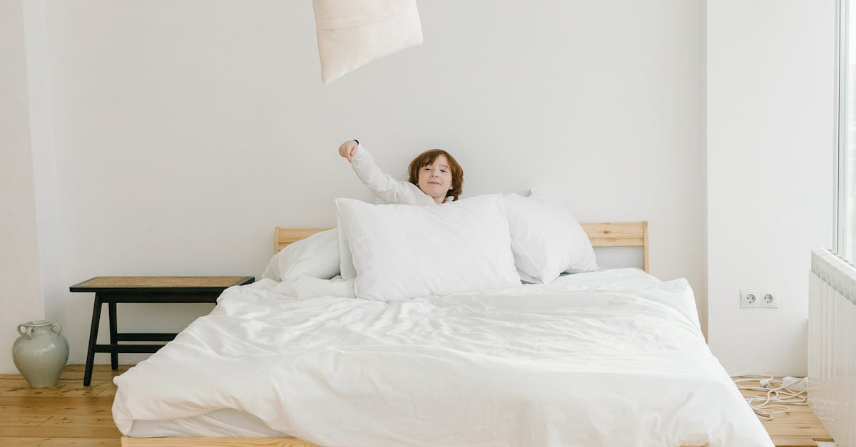 29万枚以上を売り上げた実績ある洗える布団ブランドAraemaxの人気の理由
