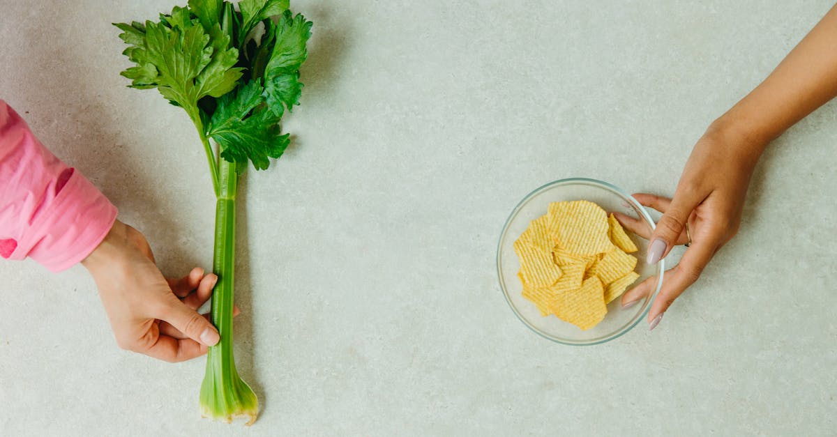 糖と脂肪対策サプリの比較を示す健康関連商品の並びイメージ